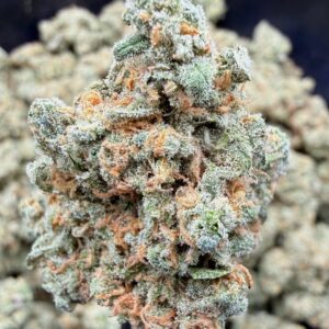Jack herrer