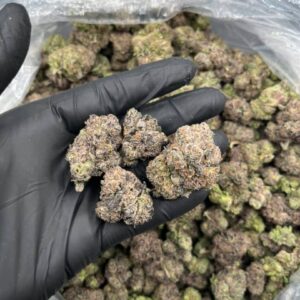 Sour kiwi