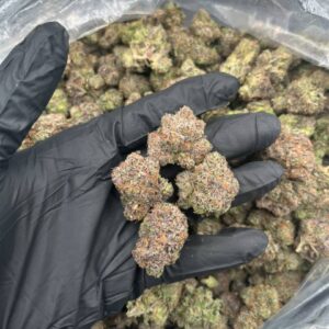 Platinum lemon