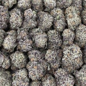 S40 Purple Cream Mid