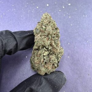 B05 Lemonn Cherry Bx1