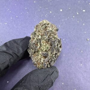B26 Black ICE Cake