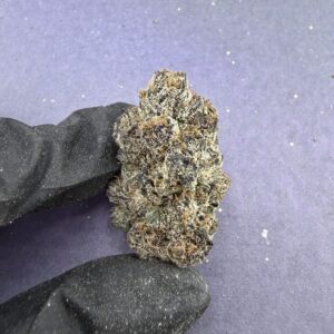 B84 Dolce Gelato